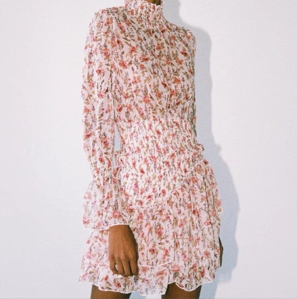 Princess Polly Guetta Floral Mini Dress Ruffled Sheer Cottagecore Fairycore 8